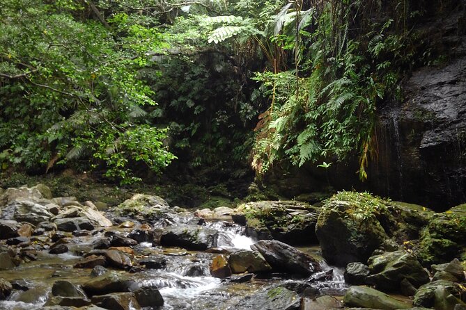 Jungle River Trek: Private Tour in Yanbaru, North Okinawa - Attire