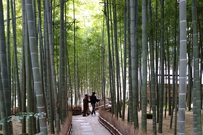 Kamakura One Day Walking Private Tour - Frequently Asked Questions