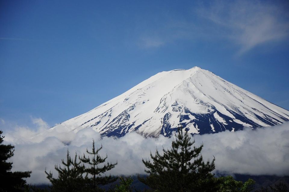 Kanto 10-Hour Chartered Day Trip｜Mt. Fuji Day Trip - Conclusion