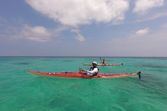 Kayak & Snorkel: Private Tour in Yanbaru, North Okinawa - Recap