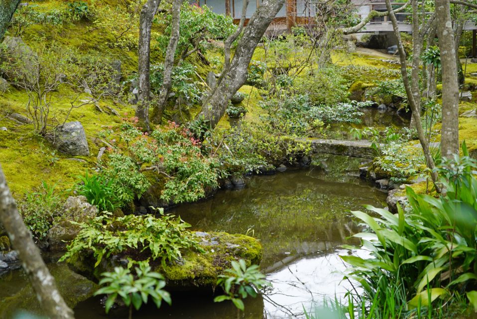 Kyoto: 5-Hour Arashiyama Walking Tour - Accessibility and Dietary Considerations