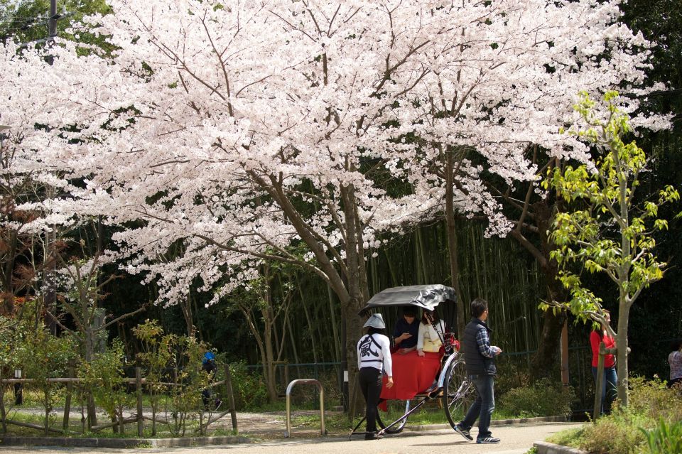 Kyoto: Arashiyama Customized Rickshaw Tour & Bamboo Forest - Directions