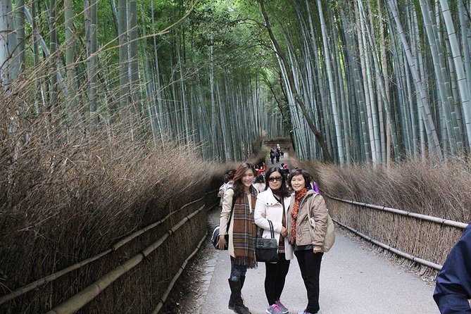 KYOTO Custom Tour With Private Car and Driver (Max 9 Pax) - Tips for a Memorable Tour