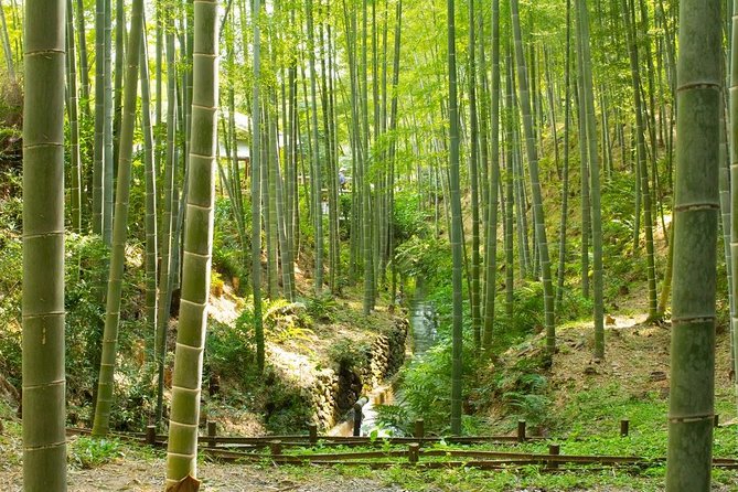 Kyoto : Immersive Arashiyama and Fushimi Inari by Private Vehicle - Customer Satisfaction