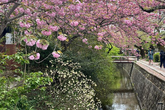 Kyoto Silver Pavilion Private 4-Hour Guided Tour - Cancellation Policy