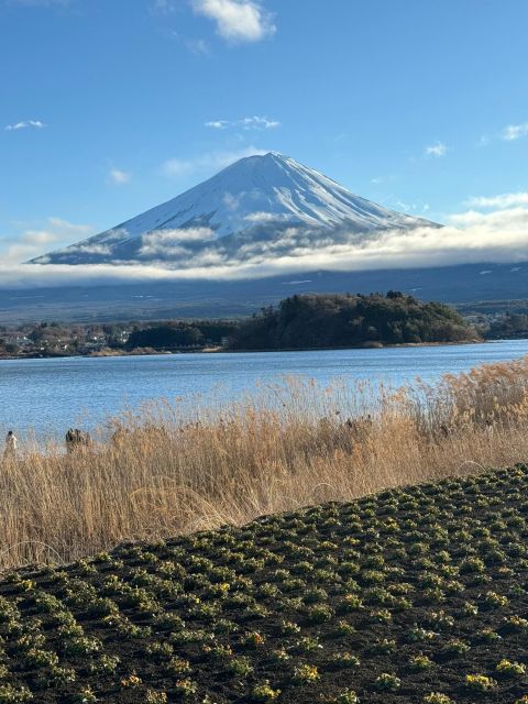 Mount Fuji Full Day Private Tour (English Speaking Driver) - The Sum Up