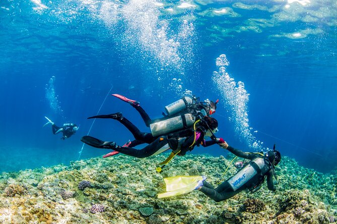 Naha: Full-Day Introductory Diving & Snorkeling in the Kerama Islands, Okinawa - Price