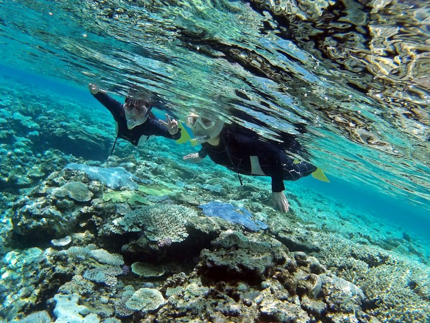 Naha, Okinawa: Keramas Island Snorkeling Day Trip With Lunch - Additional Notes