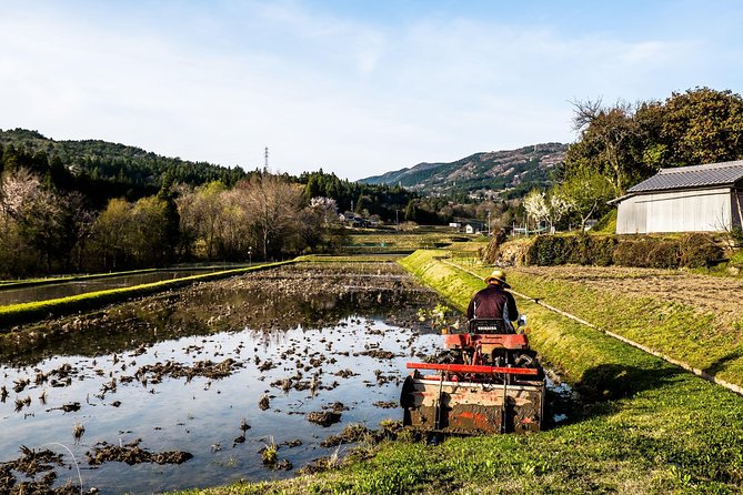 Nakasendo Self-Guided Walking Tour 2 Days - What to Expect on the Tour