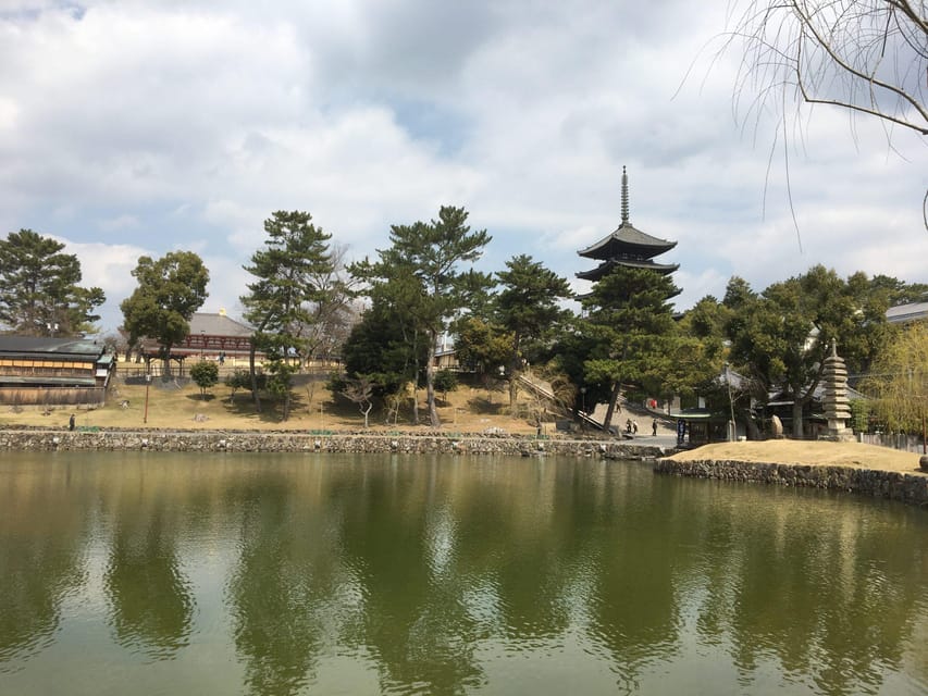 Nara: Half-Day Private Guided Tour - Conclusion