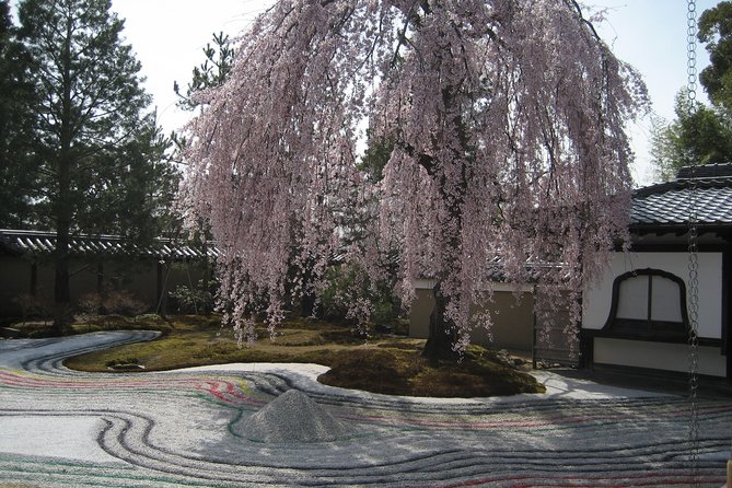 Personalized Half-Day Tour in Kyoto for Your Family and Friends. - Recap