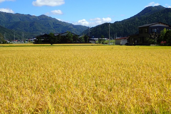 Private-group Morning Cycling Tour in Hida-Furukawa - Customer Reviews