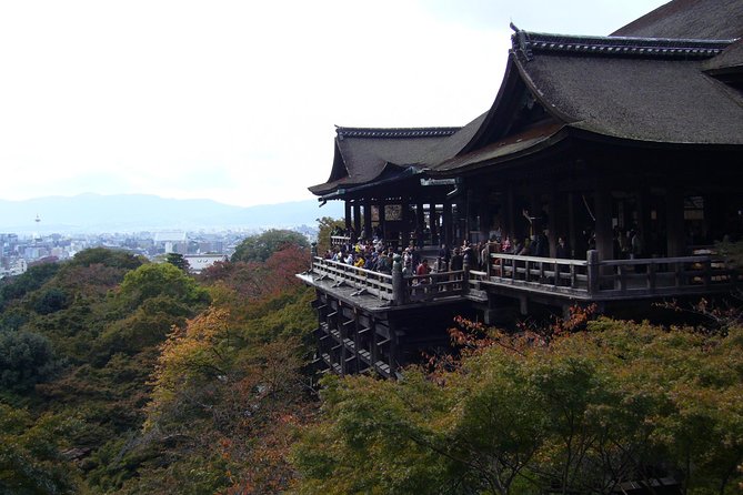 Private Highlights of Kyoto Tour - Itinerary Options