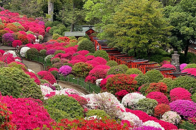 The Old Quarter of Tokyo - Yanaka Walking Tour - Recap