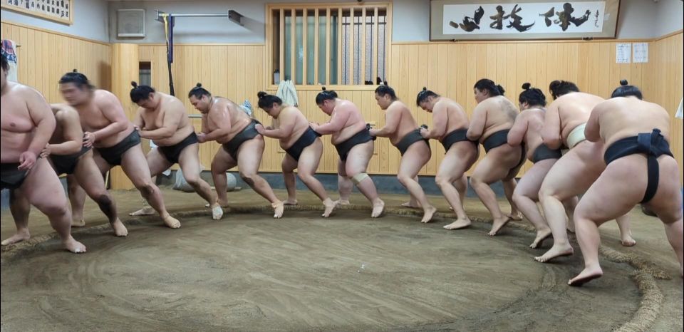 Tokyo: Morning Sumo Practice Viewing - Photo Opportunities and Inclusions