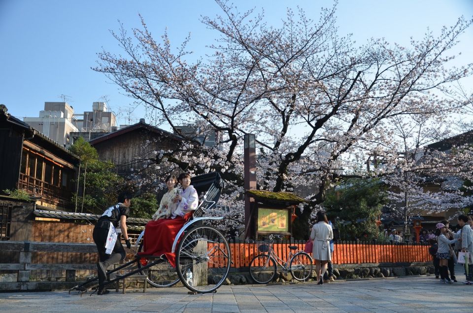 Tokyo: Private Cherry Blossom Experience - Frequently Asked Questions