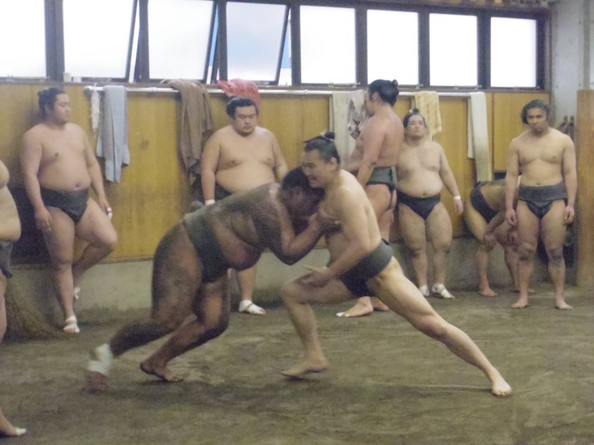 Tokyo: Sumo Morning Practice Viewing Tour - Recap