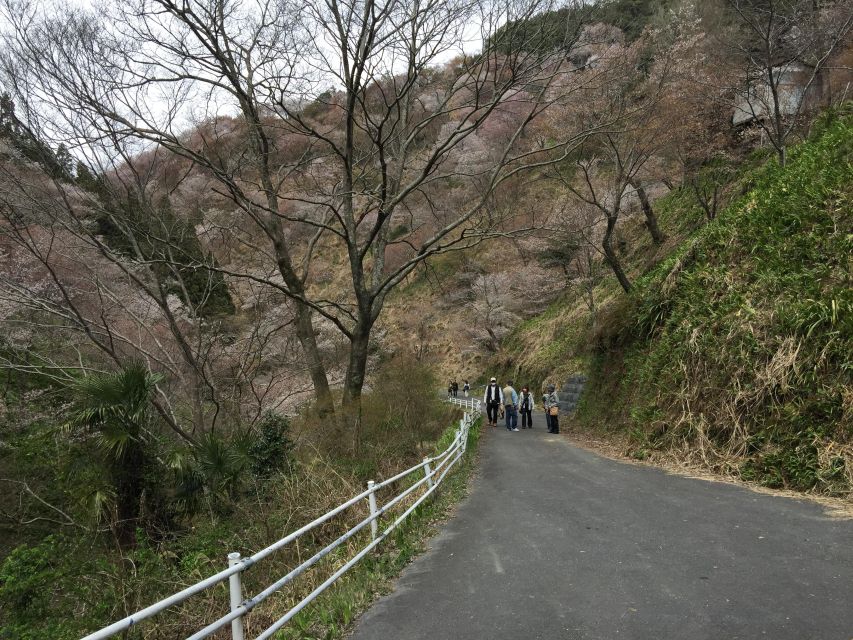 Yoshino: Private Guided Tour & Hiking in a Japanese Mountain - Frequently Asked Questions
