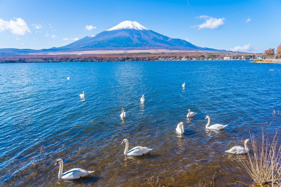 1-Day Trip: Mt Fuji + Kawaguchi Lake Area - Frequently Asked Questions