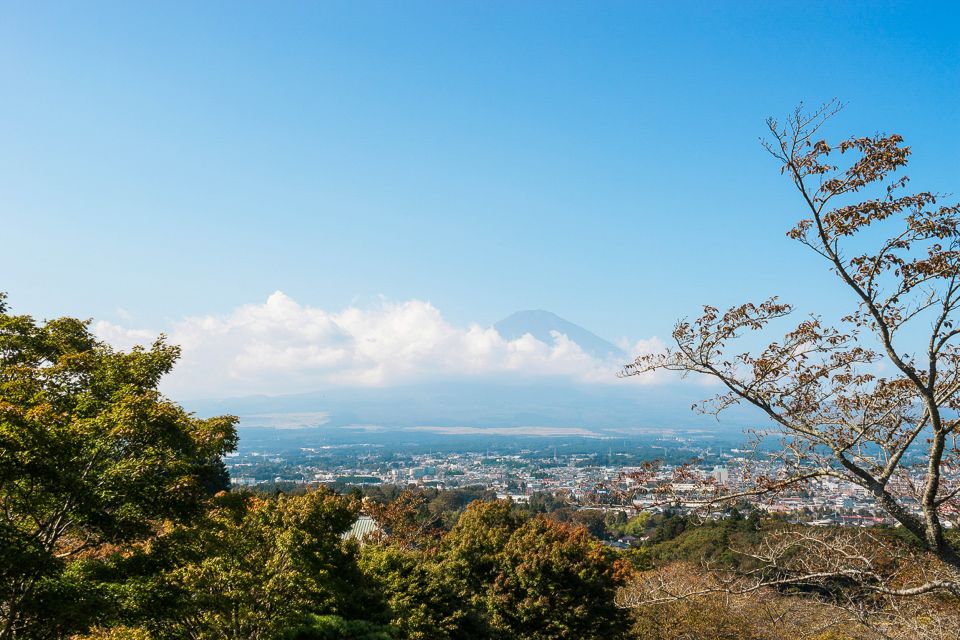 From Tokyo: Mt. Fuji Full-Day Sightseeing Trip - Conclusion