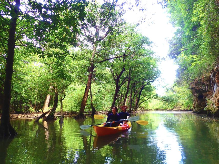 Ishigaki Island: 2-Hour Miyara River Kayaking Tour - Conclusion