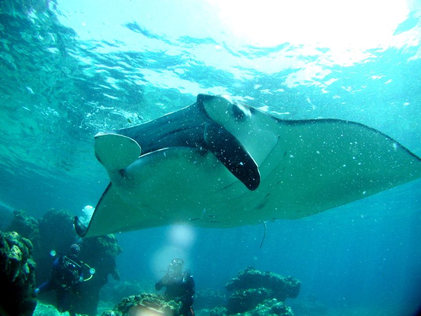 National Park Kerama Islands 2 Boat Fan Diving (With Rental) - Conclusion