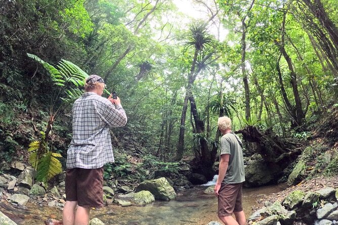 Amami Oshima Island Nature Highlights Day Tour - Key Points