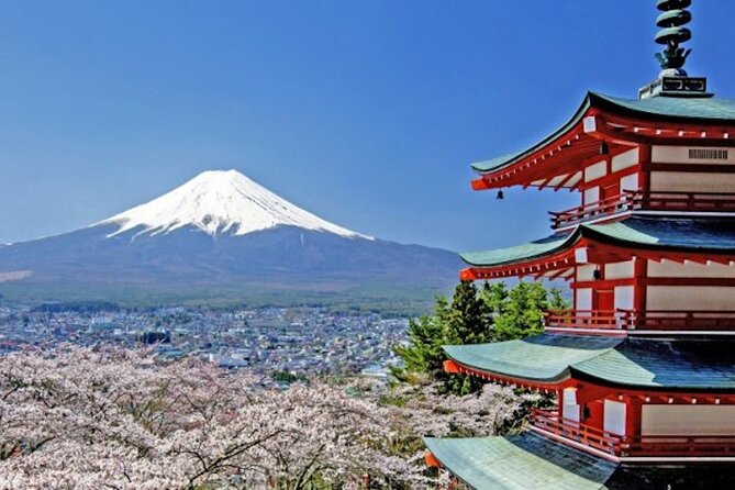 Best Price for 2-6 People! Mt Fuji & Natural Water Private Tour - Key Points