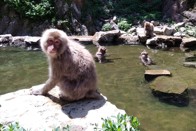 Bike Rentals in Nagano to Explore Snow Monkey Park. - Key Points