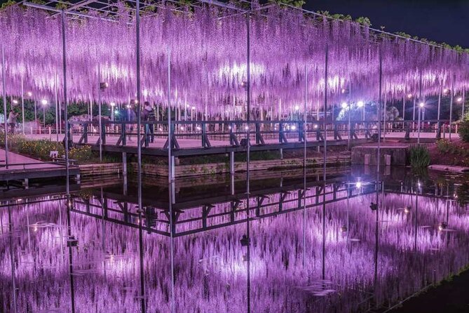 Entry Ticket to Ashikaga Flower Park in Japan - Key Points