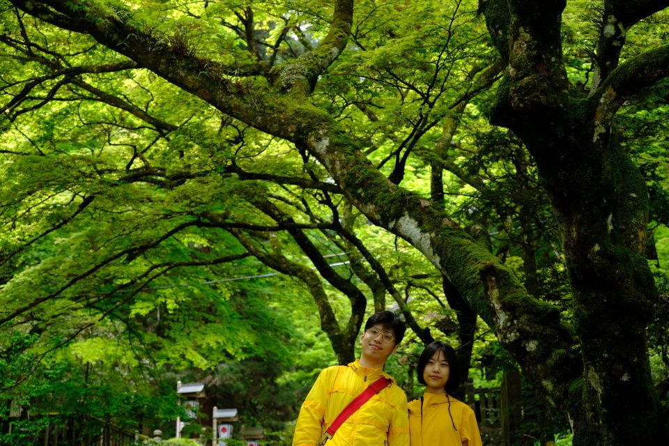 Fm Odawara: Forest Bathing and Onsen With Healing Power - Key Points