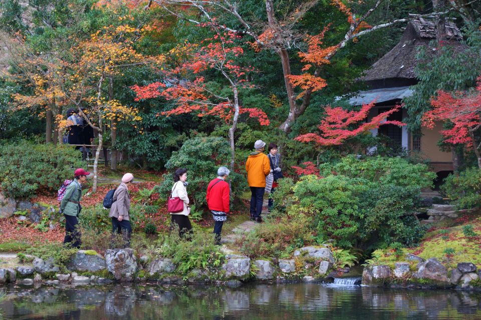 From Kyoto or Osaka: Private Walking Tour Through Nara - Good To Know