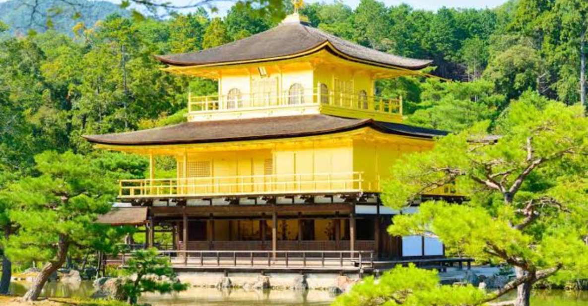 From Osaka: Kyoto and Nara Customize Private Tour by Alphard - Tour Highlights