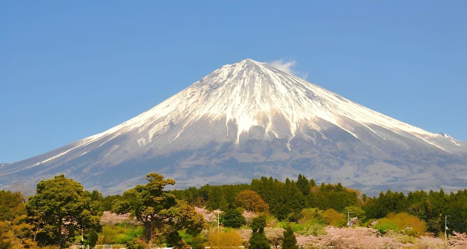 From Tokyo: 10-hour Private Tour to Mount Fuji and Hakone - Good To Know
