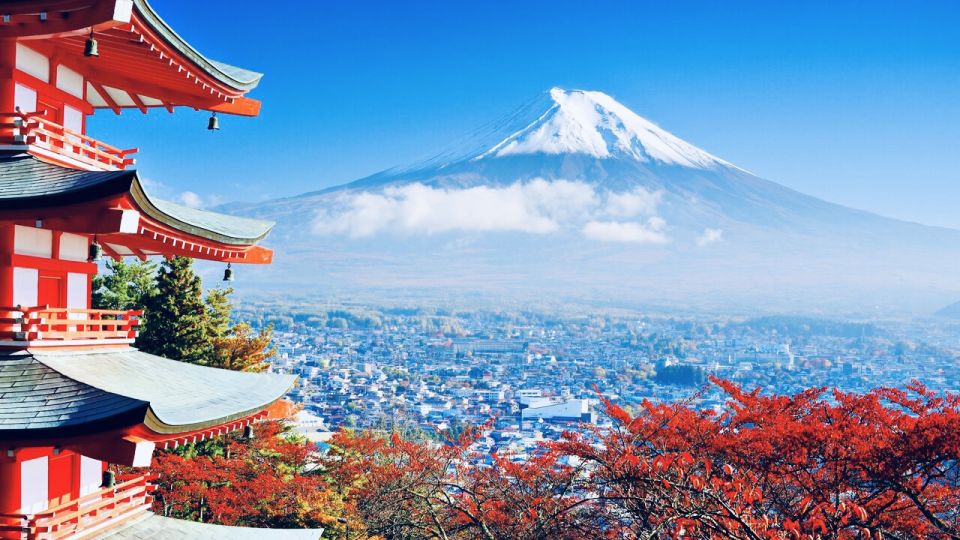 From Tokyo: Mount Fuji and Hakone Private Day Trip - Good To Know