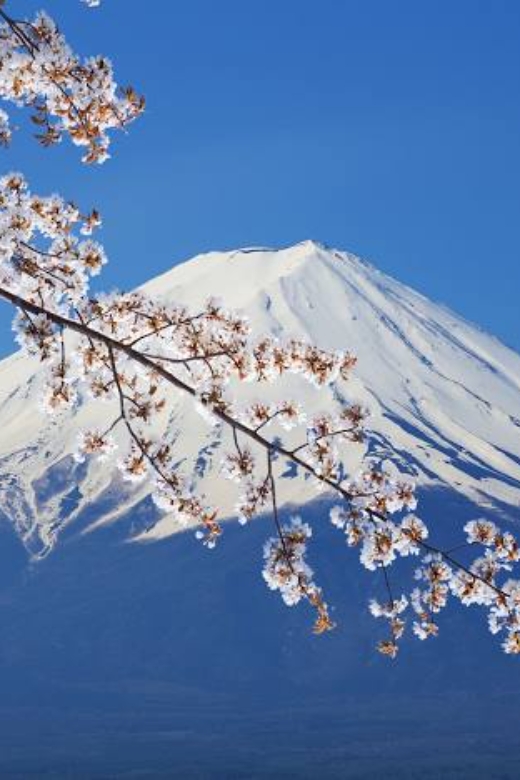 From Tokyo: Mount Fuji Full-Day Private Customized Tour - Good To Know