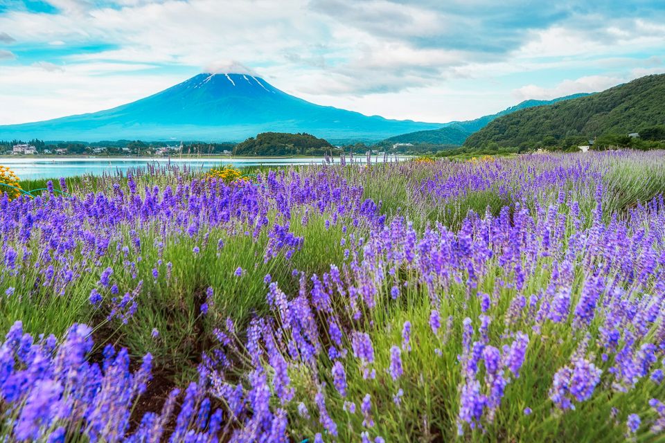 From Tokyo: Mt. Fuji Full-Day Sightseeing Trip - Key Takeaways