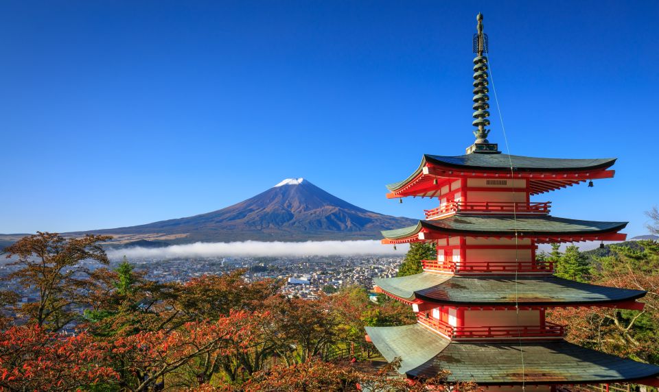 From Tokyo: Mt. Fuji or Hakone Private Sightseeing Day Trip - Good To Know