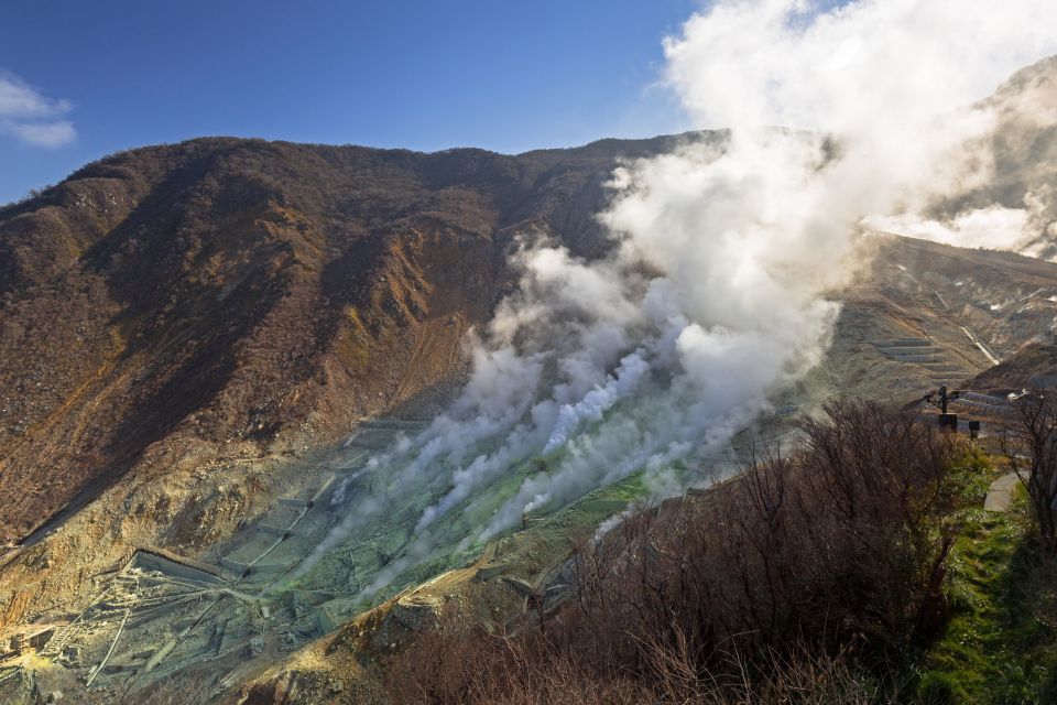 From Tokyo: Private Day Trip to Hakone With Lake Ashi Cruise - Good To Know