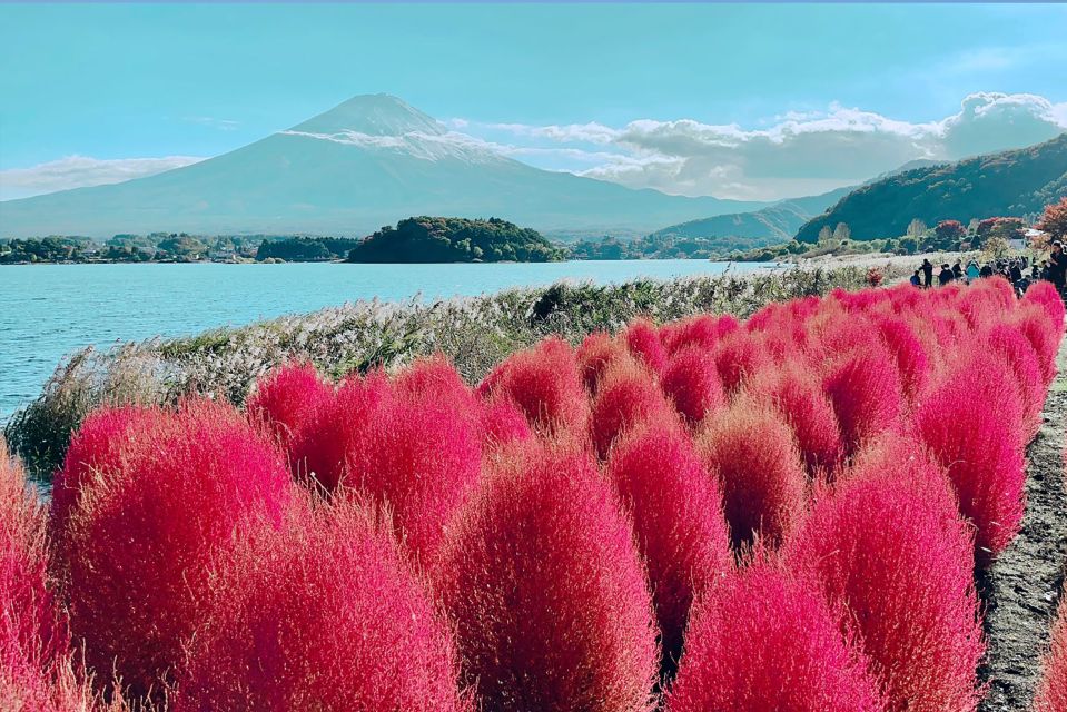 From Tokyo: Private Sightseeing Tour to Mount Fuji & Hakone - Good To Know