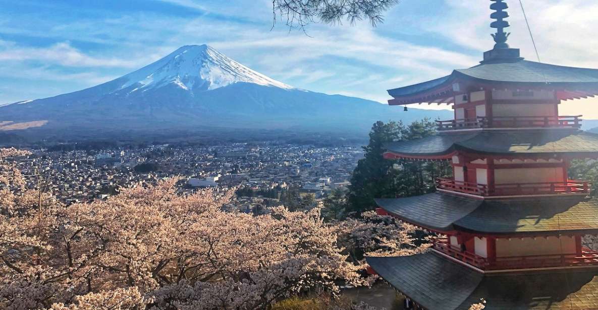 From Tokyo: Private Trip to Mount Fuji and Lake Kawaguchi - Good To Know