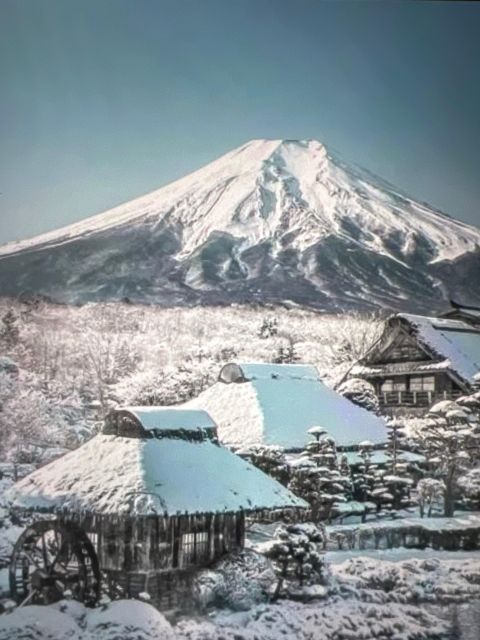 From Tokyo/Yokohama: Mount Fuji Private Tour With Pickup - Good To Know