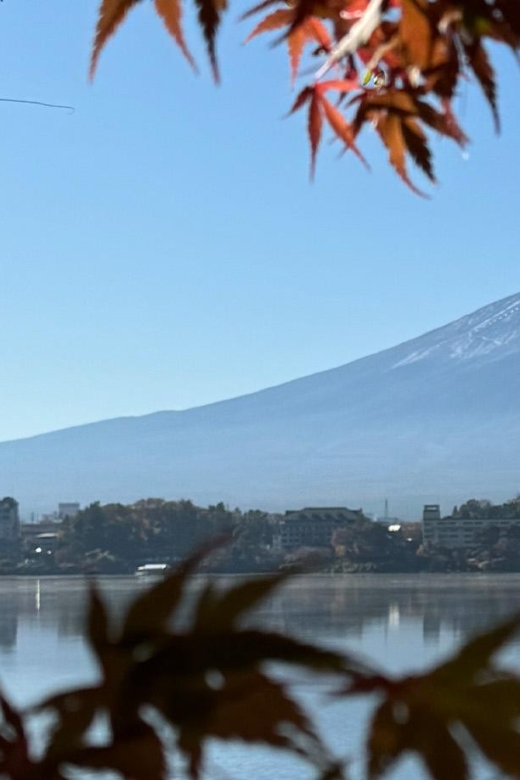 Fuji Tour: Exploring the Beauty Around Mount Fuji - Tour Details