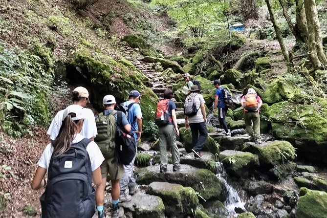 Full Day Guided Hiking Tour in Mt. Mitake - Key Points