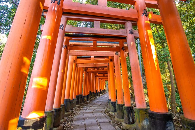 Full Day Guided Tour to Kyoto and Nara From Osaka - Key Points