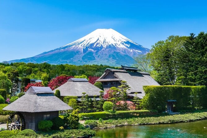 Full Day Guided Trip to Mt. Fuji and Hakone From Tokyo - Key Points