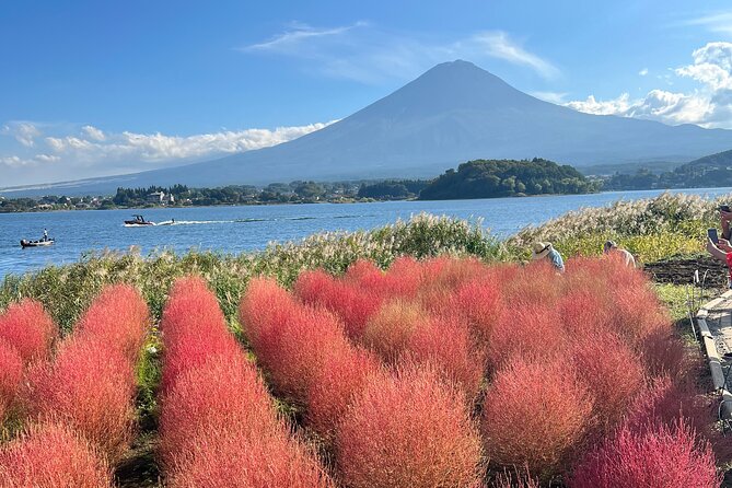 Full Day Private Tour in Mount Fuji and Hakone - Key Points