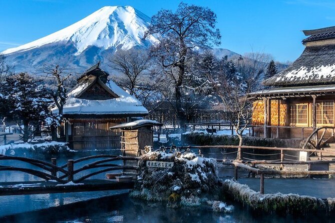 Full Day Private Tour in Mt. Fuji and Hakone - Key Points