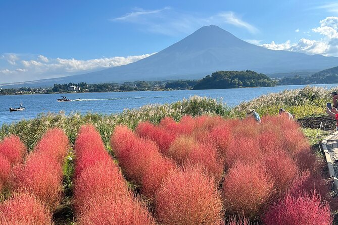 Full Day Private Tour to Mount Fuji and Hakone - Tour Inclusions