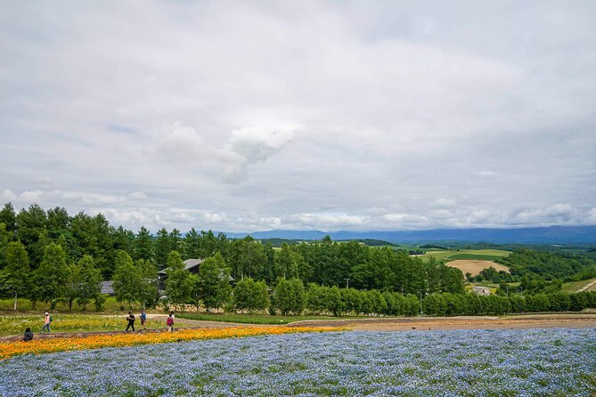 Full Day Tour Hokkaido Biei Green Pond and Furano Flower Sea - Key Points